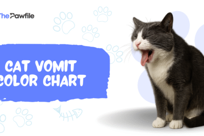 Cat Vomit Color Chart
