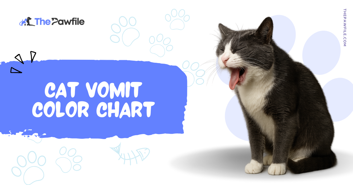 Cat Vomit Color Chart