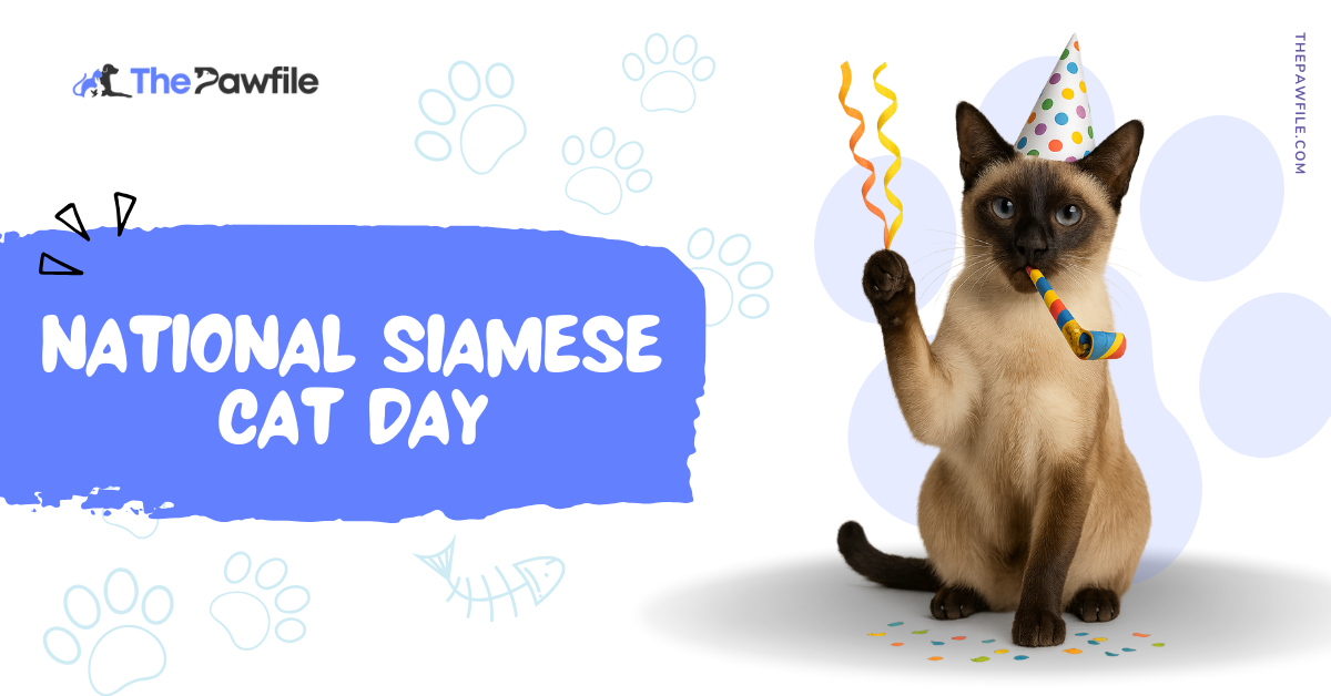 national siamese cat day