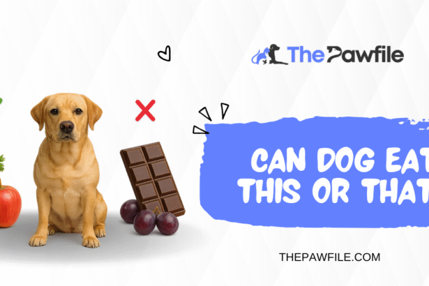 Can Dogs Eat