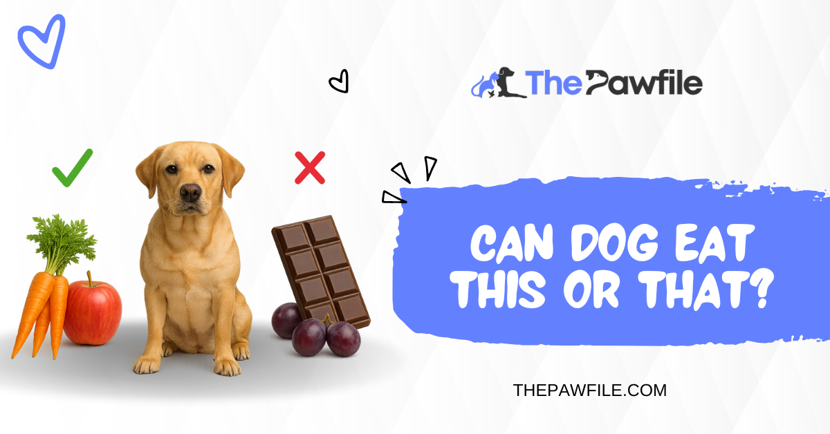 Can Dogs Eat