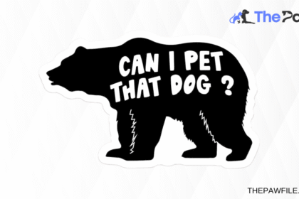 UCan I Pet That Dog