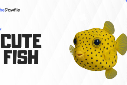 Cute Fish